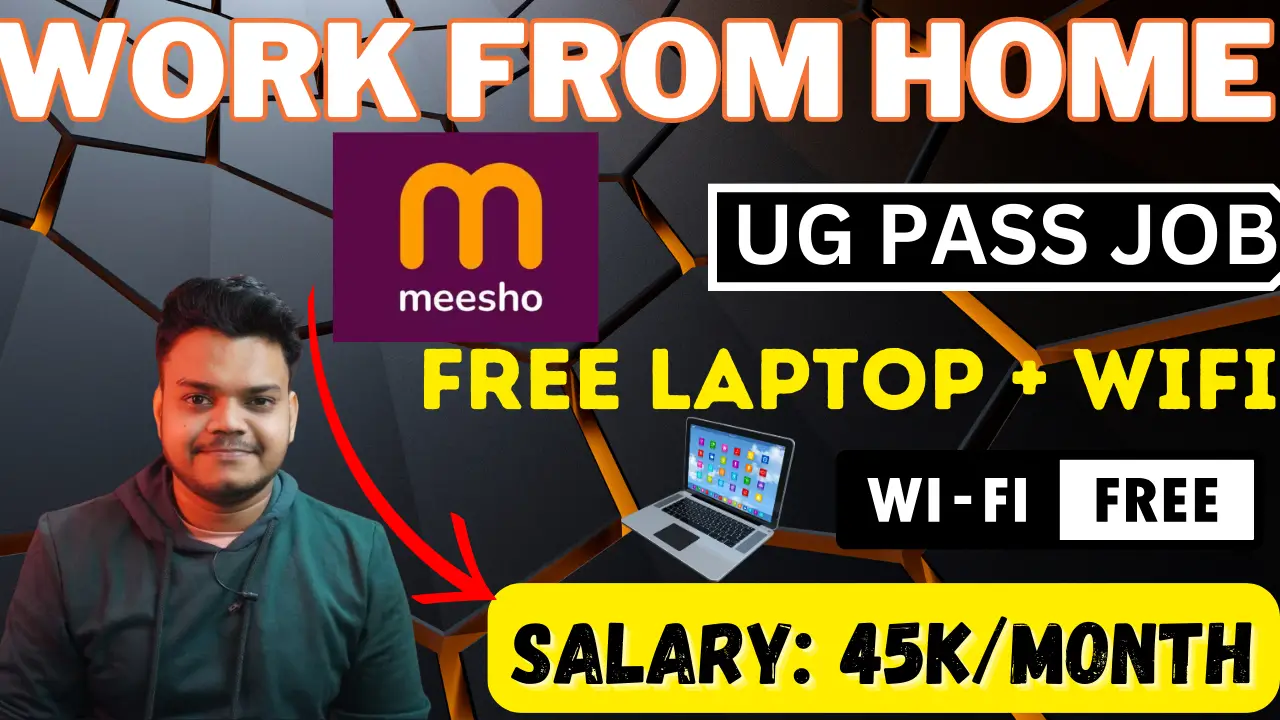 Meesho work from home